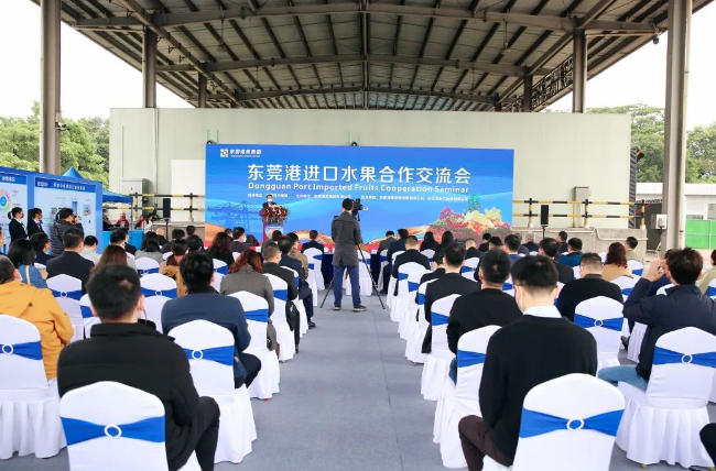 東莞港進(jìn)口水果合作交流會(huì) | 共同搭建東莞港進(jìn)口水果集散一體化新通道