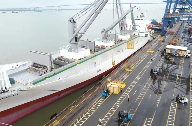 貨值超1.19億元，新西蘭佳沛奇異果新鮮入莞啦！