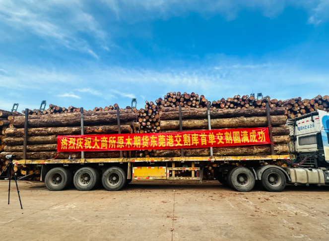 東莞港順利完成首單原木期貨交割業(yè)務(wù)